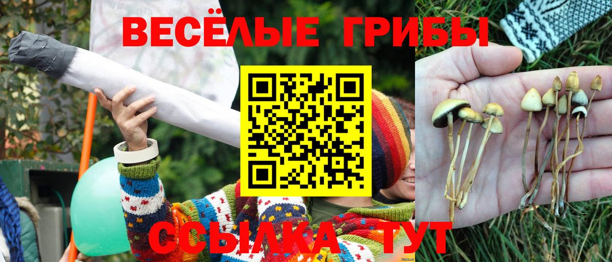 Галлюциногенные грибы ЛСД  Галлюциногенные грибы Cubensis  Вход с VPN  Соликамск 