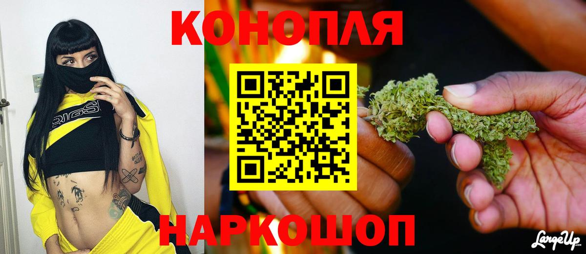 Шишки марихуана марихуана Соликамск
